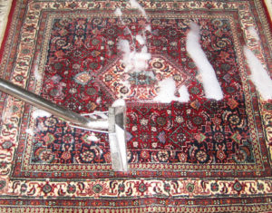 Professional Area Rug Cleaning Torrance Ca