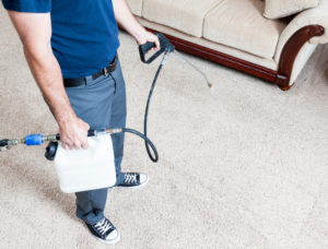 Professional Carpet Treatment Services Torrance Ca